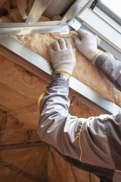 Best Insulation Installation Services in Lazy Mountain, AK